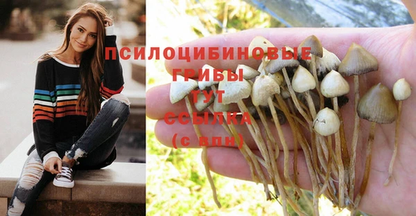 бутик Дмитриев