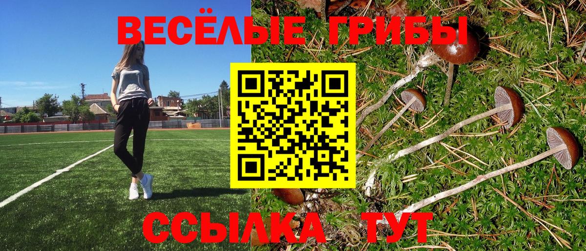 Галлюциногенные грибы Psilocybe Обь