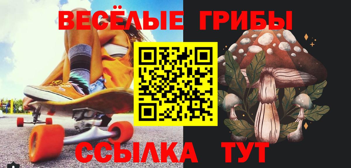 Обь  Галлюциногенные грибы GOLDEN TEACHER  Псилоцибиновые грибы мухоморы  Вход с VPN 